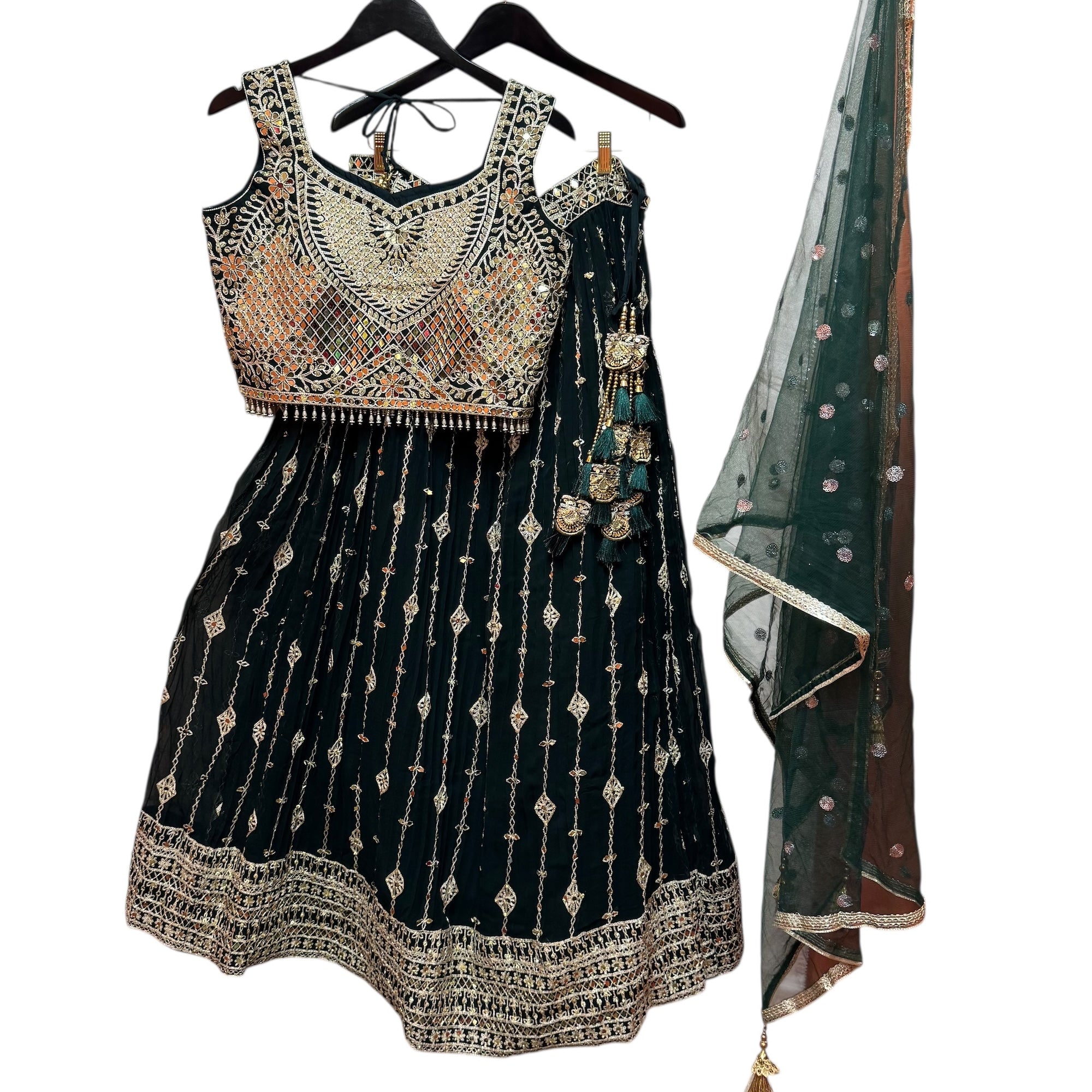 Forest Embroidered Georgette Lehenga Set