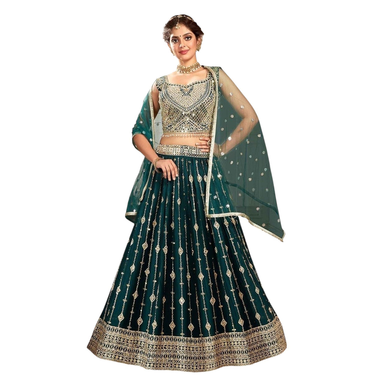 Forest Embroidered Georgette Lehenga Set