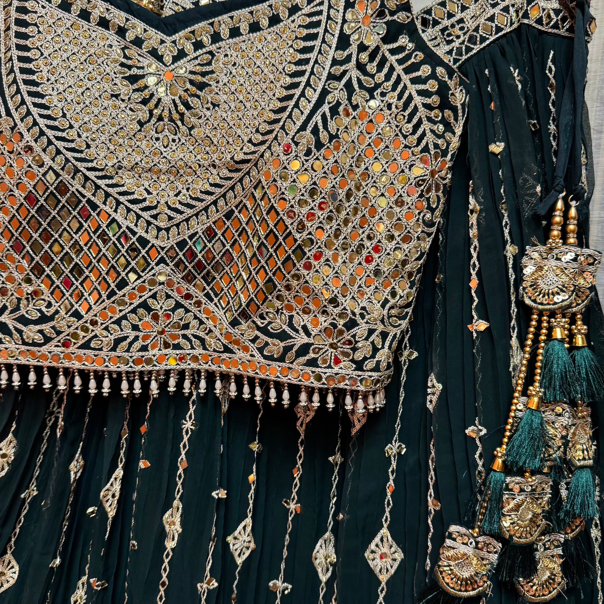 Forest Embroidered Georgette Lehenga Set