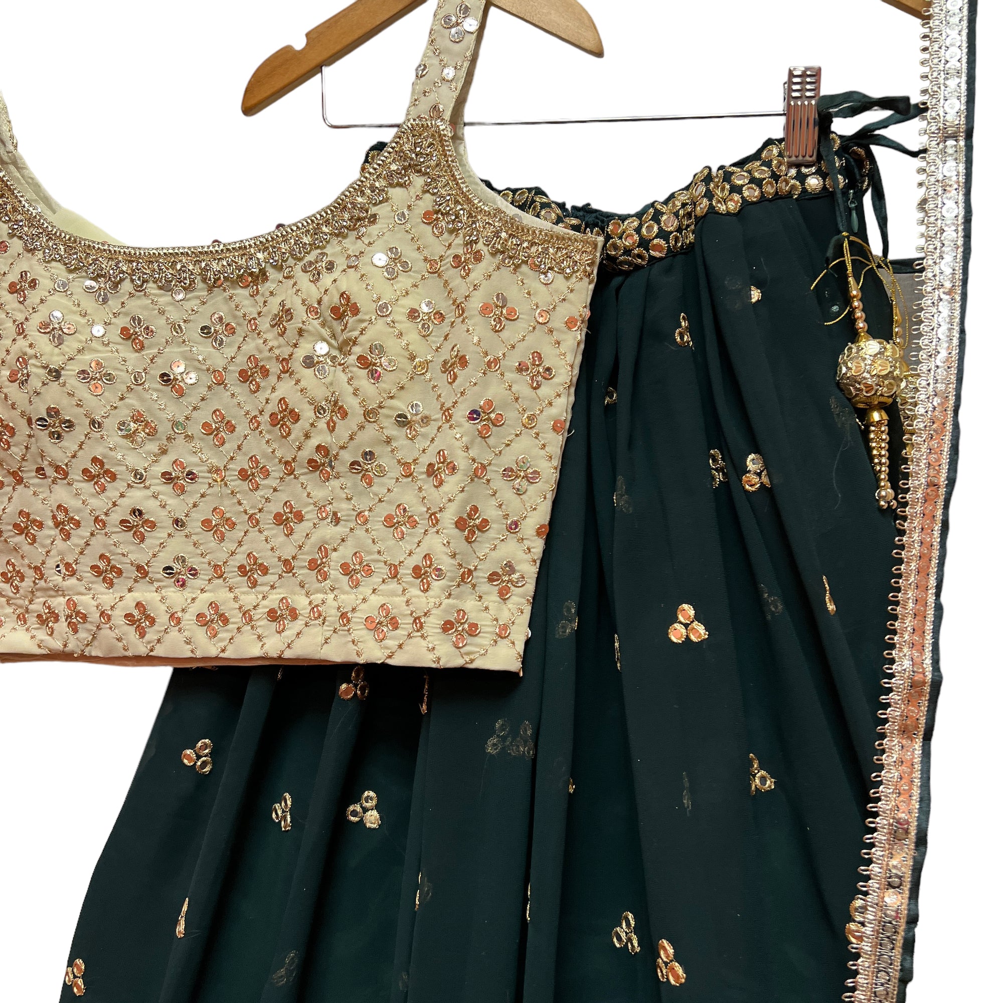 DT Georgette Lehenga Set-4 Colors - Vintage India NYC