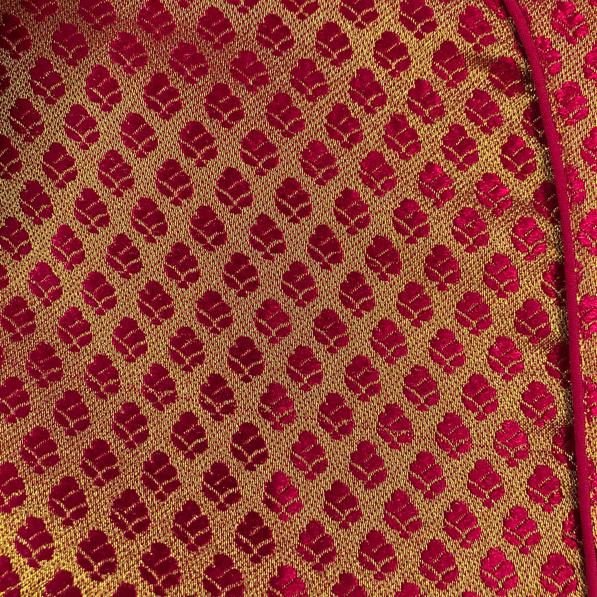 RI Leaf Brocade Plus Size - Vintage India NYC