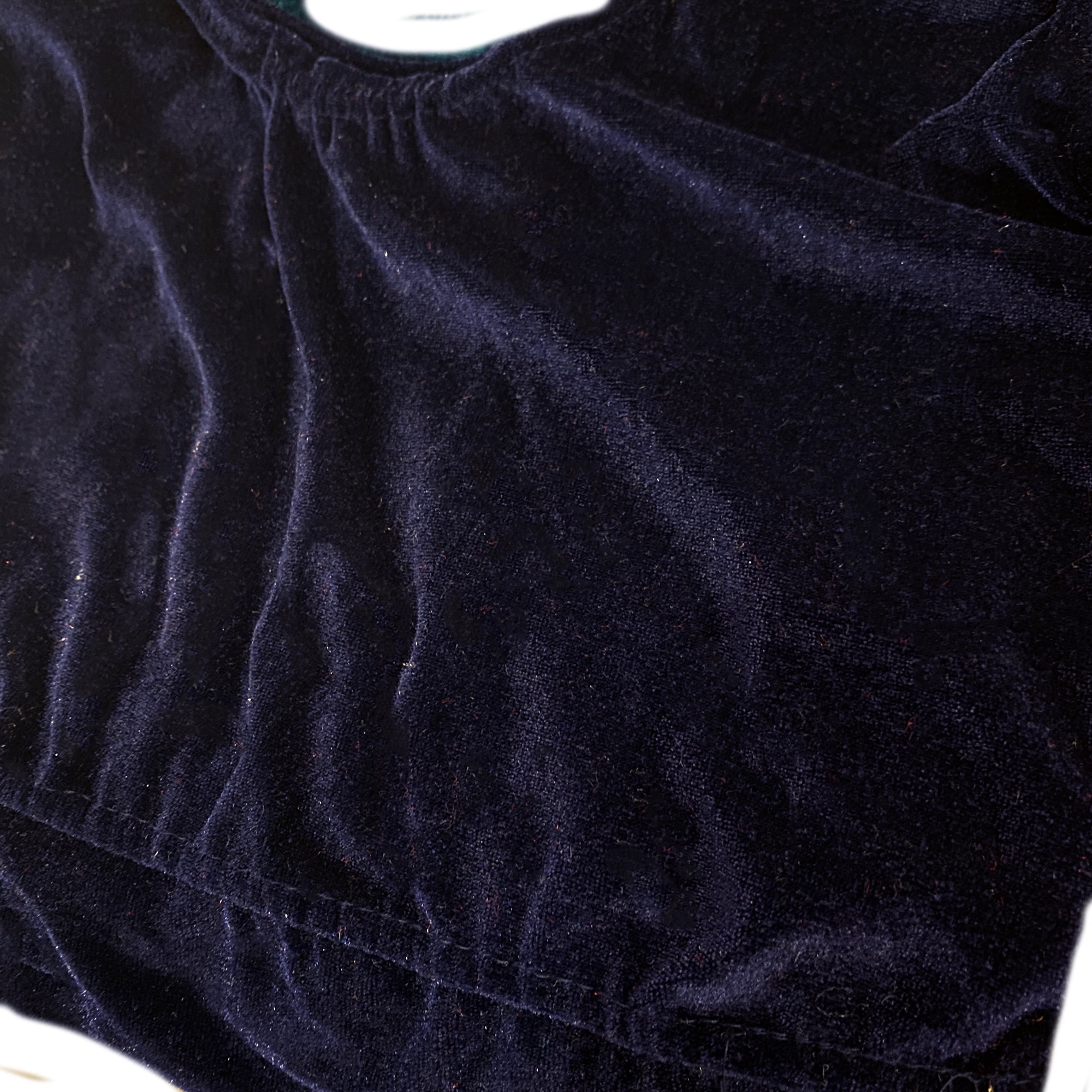 Velvet Stretch Crop Top - Vintage India NYC