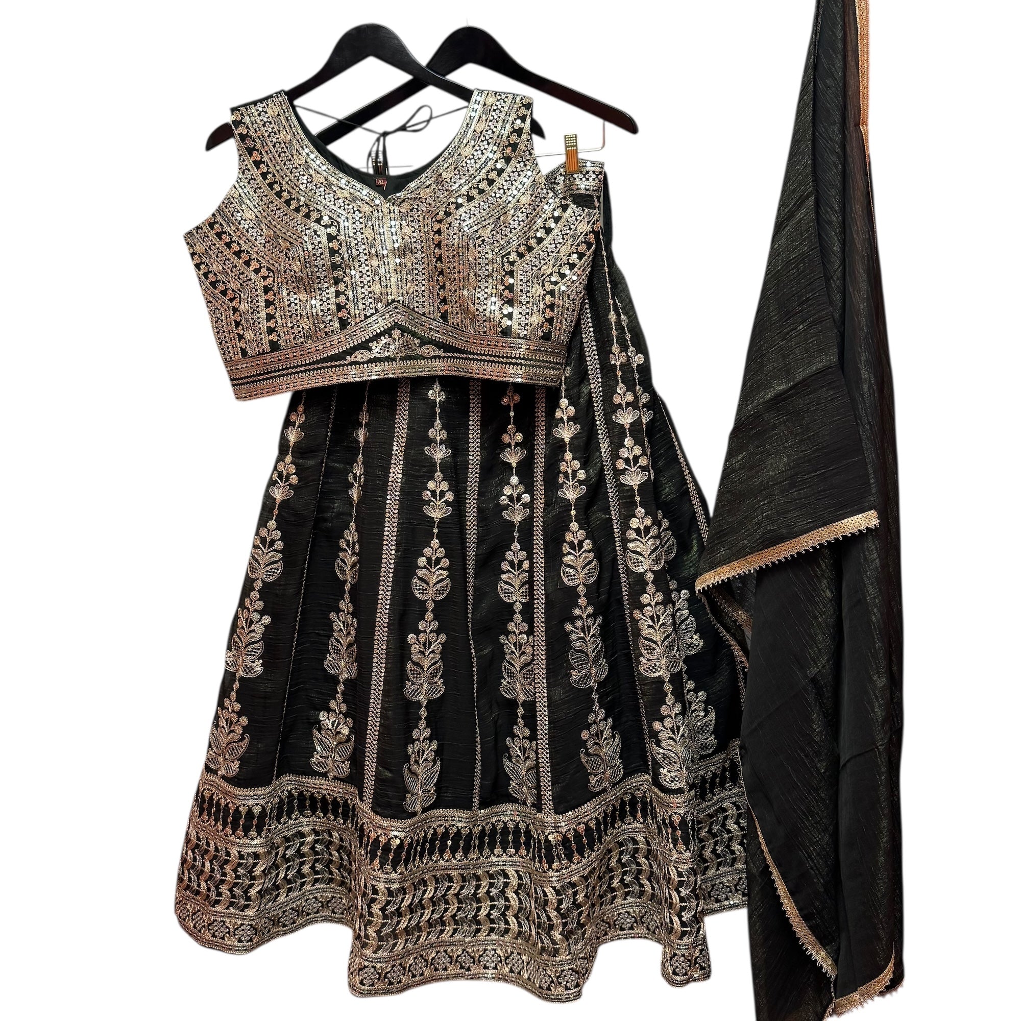Gold Embroidered Streaming Flower Lehenga Set-2 Colors