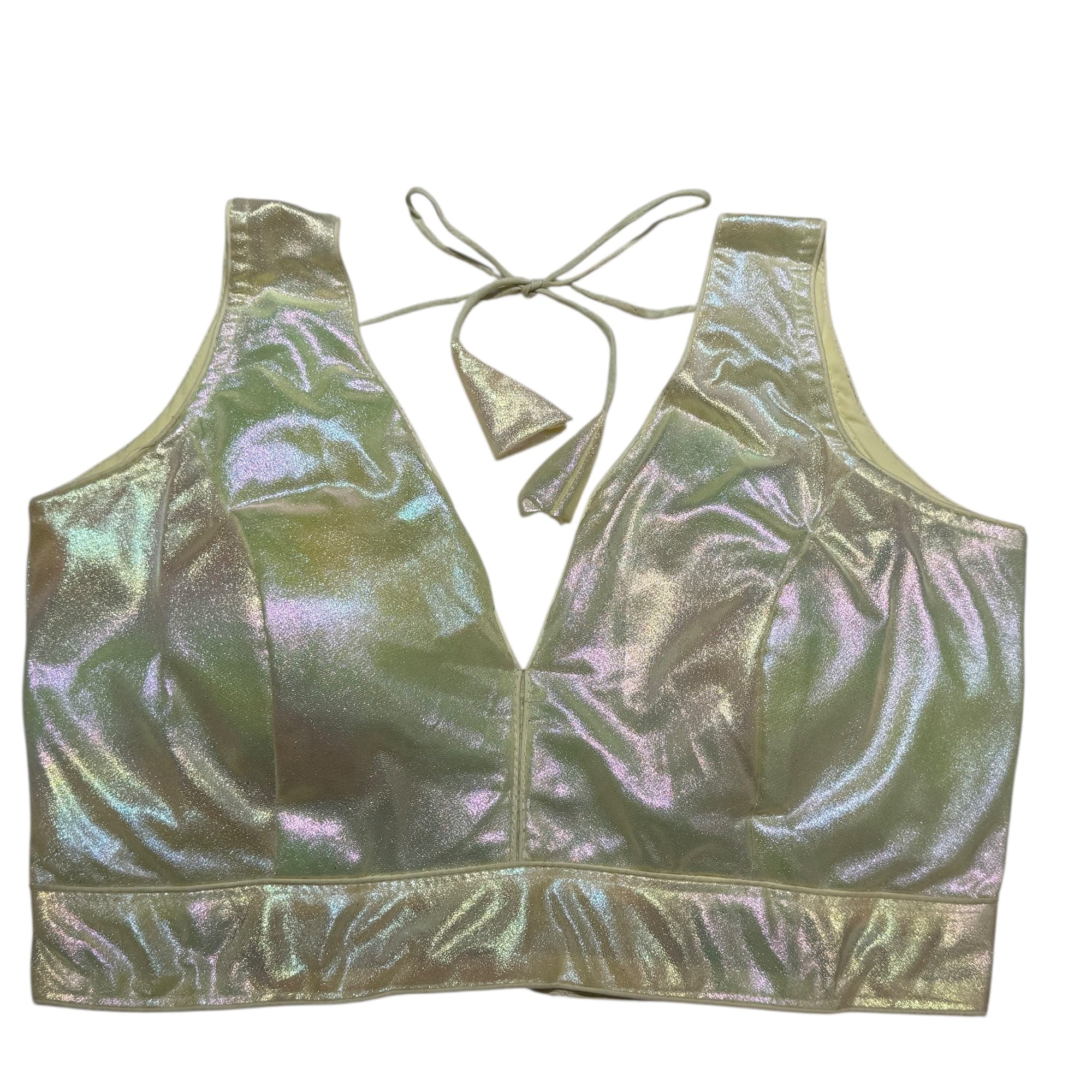 Irridescent Sleeveless V Neck Choli Blouse