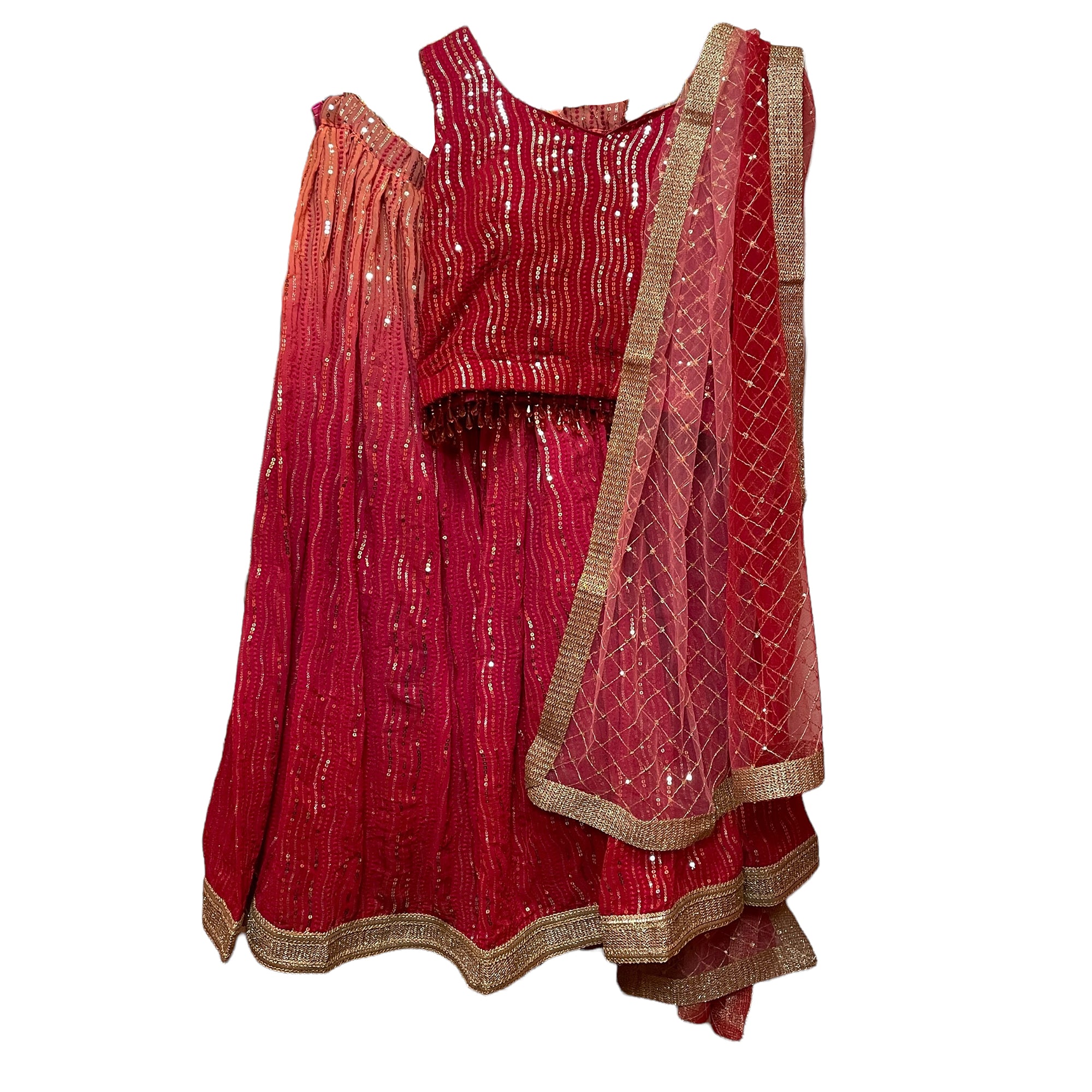 DT Plus Size Sequin Lehenga Sets-2Colors - Vintage India NYC